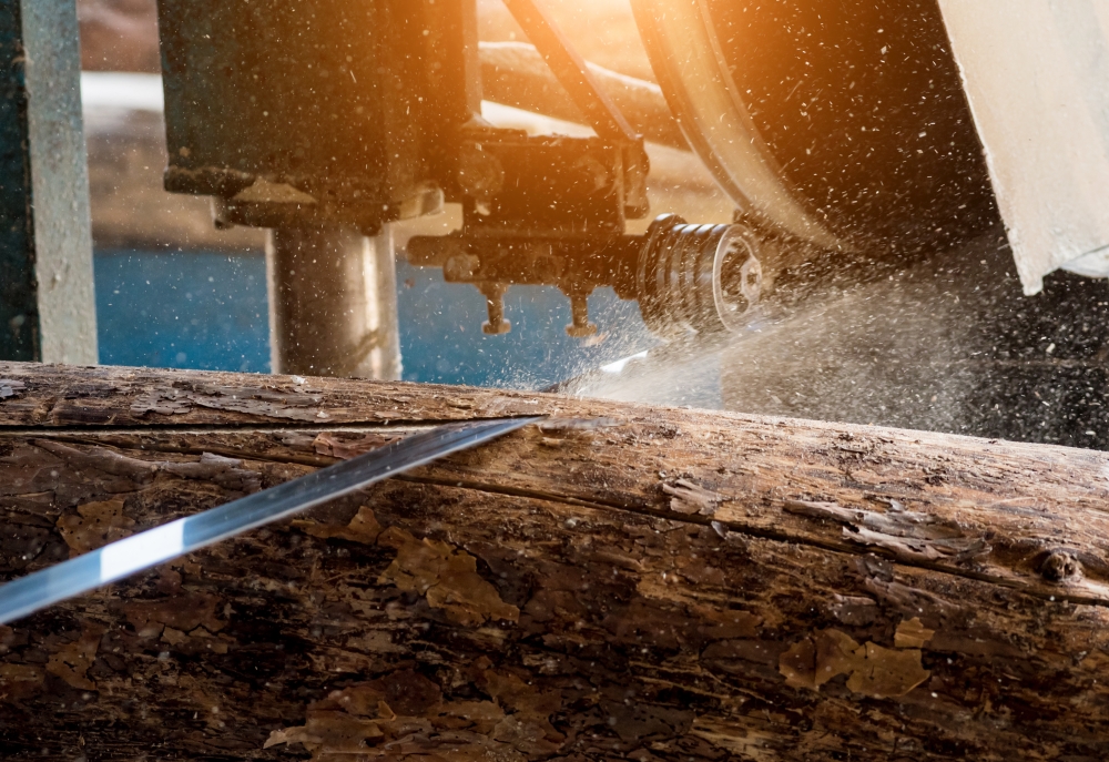 Rack and Pinion Systems Boost Timber Processing Equipment Efficiency and Productivity